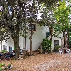 Appartement Antico Frantoio