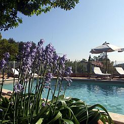 Vakantiehuis Villa 'Castagno' mit Pool