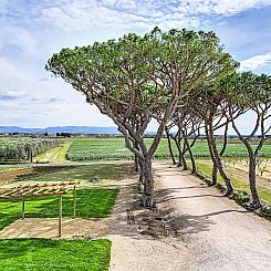 Appartement I Pini