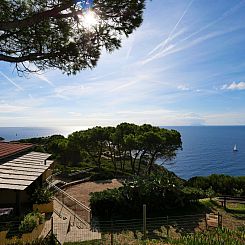 Appartement Oasis 2