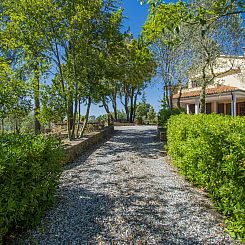 Appartement Montaleo 5