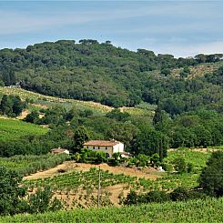 Vakantiehuis Dependance di Villa Magna