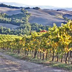 Podere Grignano
