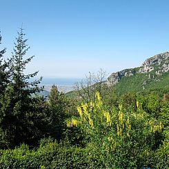 Vakantiehuis La Quercia