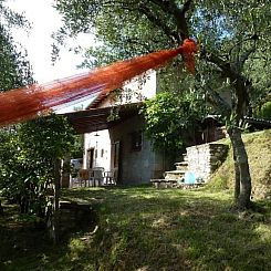 Vakantiehuis Rustico inmitten eines Olivenhainens