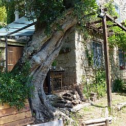 Vakantiehuis 'Giaggioli' mit Garten und Terrasse