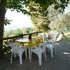 Vakantiehuis 'Graceland' mit Garten und Terrasse