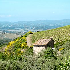 Vakantiehuis Cellole - Valluccia