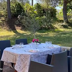 Il Tulipano