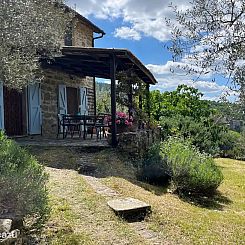 La Carina