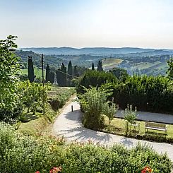 Ginestra
