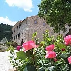 Gelsomino