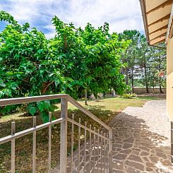 Vakantiehuis Sunrise Hill Holiday Home
