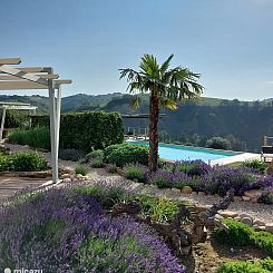 Appartement Il Noce