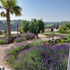 Appartement Il Noce