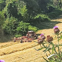 Appartement Rustikale Eleganz mit Blick auf die umbrische La