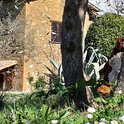 Vakantiehuisje in Orvieto