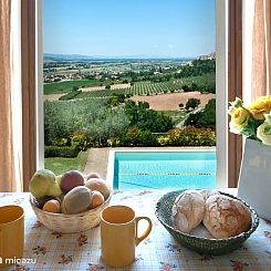 Agriturismo Fiordaliso - Ulivo
