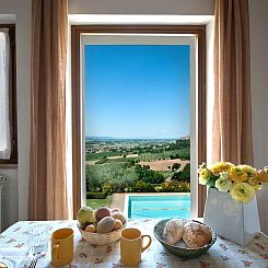 Agriturismo Fiordaliso - Ulivo
