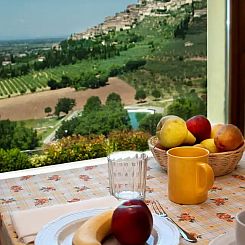 Agriturismo Fiordaliso - Ulivo