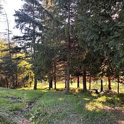 Vrijstaande woning in Acqui Terme