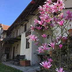 Villa Dona Tella