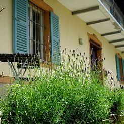 Casa Nuova
