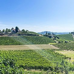 Vakantiehuis Guest House Viotti