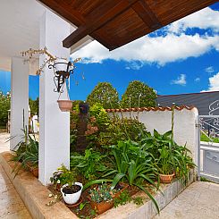 Appartement Apartment 2366
