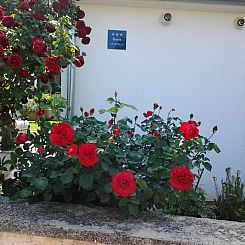 Appartement "Gemütlicher Garten" mit Terrasse