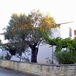 Appartement "Gemütlicher Garten" mit Terrasse
