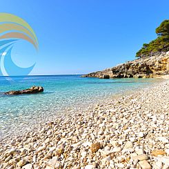 Appartement Apartment 1155