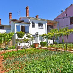 Appartement Apartment 1230