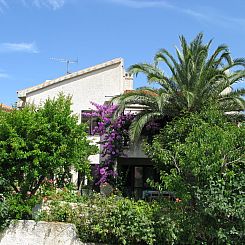 Appartement Maslina