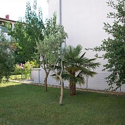 Appartement Appartement mit Balkon