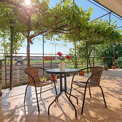 Appartement Studio-Wohnung "Dani 2" mit Terrasse