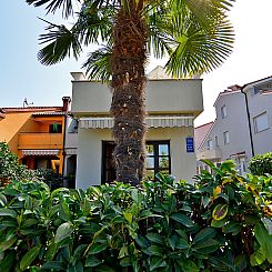 Appartement Apartment 589