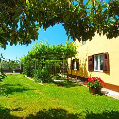 Vakantiehuis House 1037