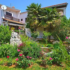 Appartement Apartment 959