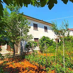 Appartement Apartment 2397