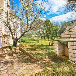 Appartement Apartment 1598