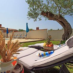 Vakantiehuis Villa Oliva