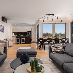 Vakantiehuis Old Olive VII