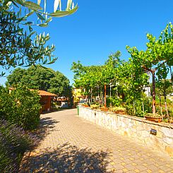 Appartement Apartment 1318