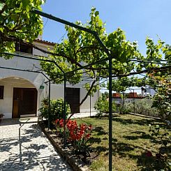 Appartement Apartment 157