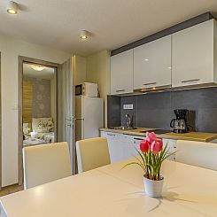 Vakantiehuis Mobile home Premium