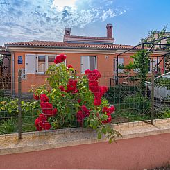 Appartement "Arijana1" mit privater Terrasse