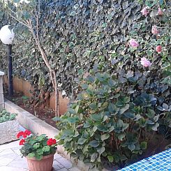 Appartement "Arijana1" mit privater Terrasse