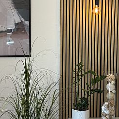 Appartement Tea