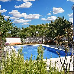 Appartement Apartment 2399